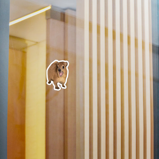 Hyrax Sticker