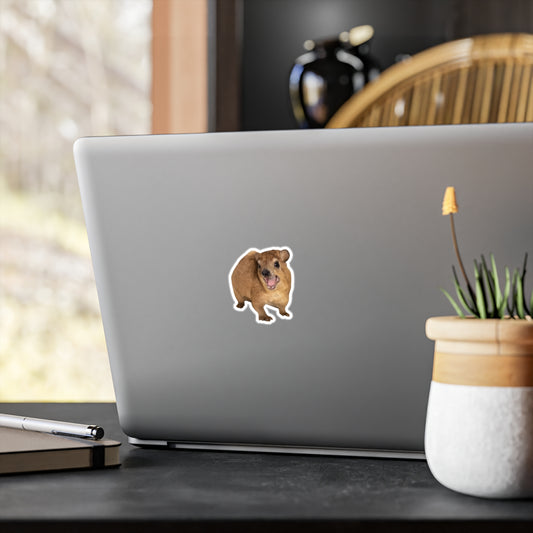 Hyrax Sticker